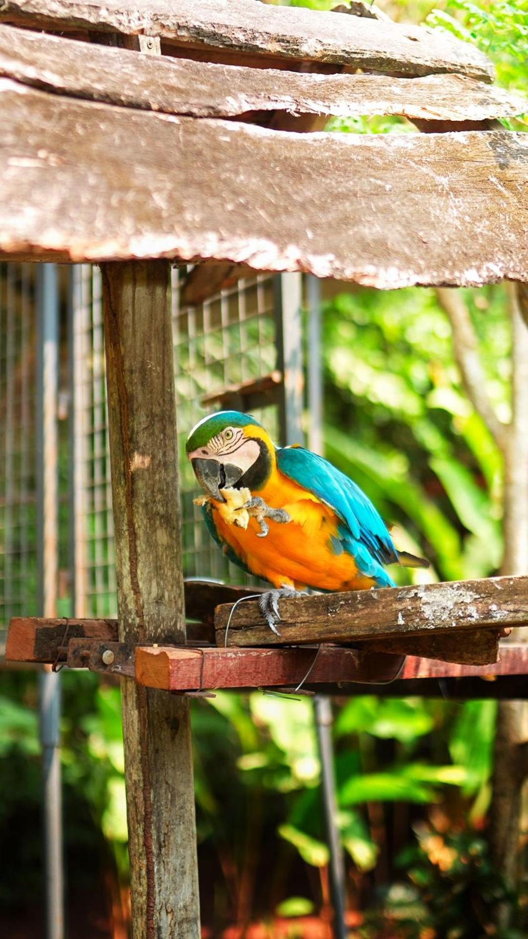 Colina De Montalva Hotell Tarapoto Eksteriør bilde