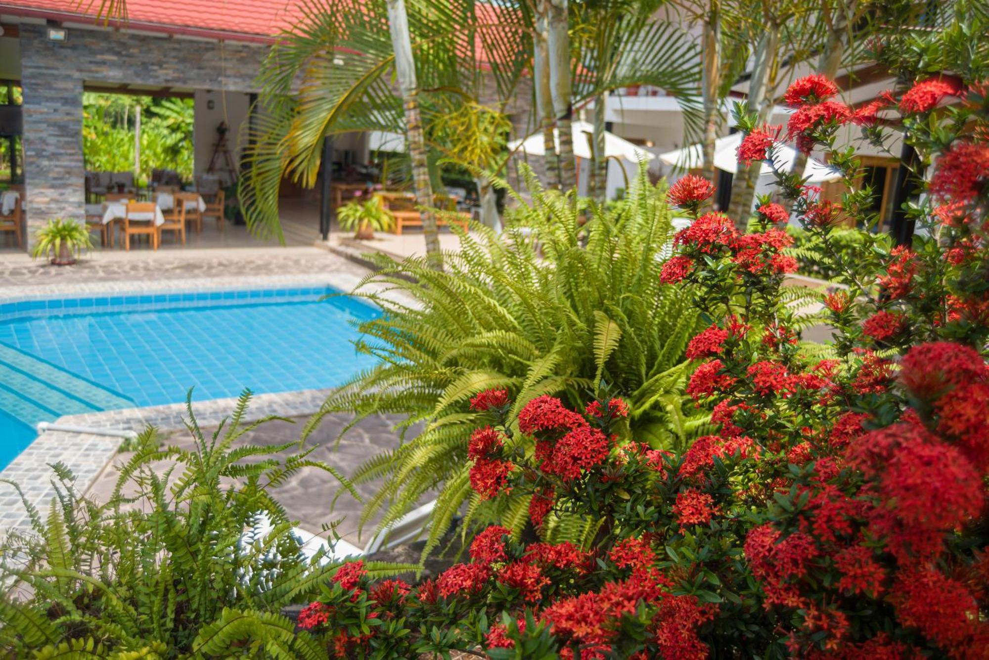 Colina De Montalva Hotell Tarapoto Eksteriør bilde