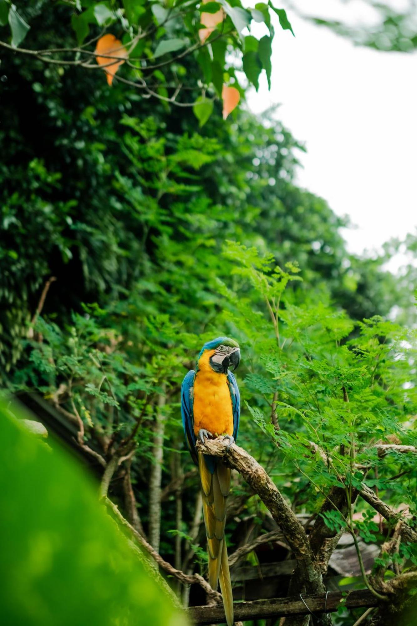 Colina De Montalva Hotell Tarapoto Eksteriør bilde